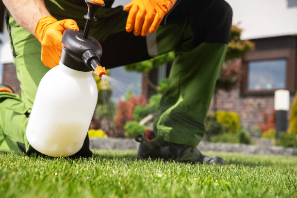 Best Mosquito Control Services  in Llender, CA