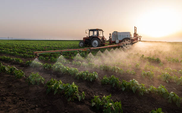Best Affordable Exterminators  in Llender, CA