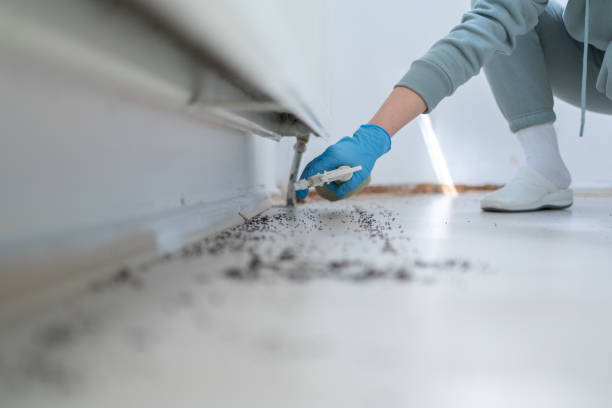 Best Wildlife Control Services  in Llender, CA
