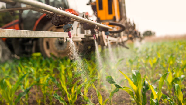 Best Commercial Pest Control Services  in Llender, CA